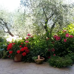 Bed & Breakfast Vecchio Casale Margherita, Camaiore